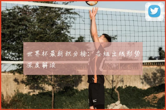 世界杯最新积分榜:各组出线形势深度解读